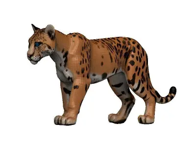 Florida Panther Low-poly 3D model