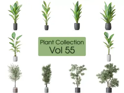 Plants collection vol 55 