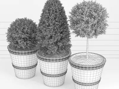 Plant Three 3D model
