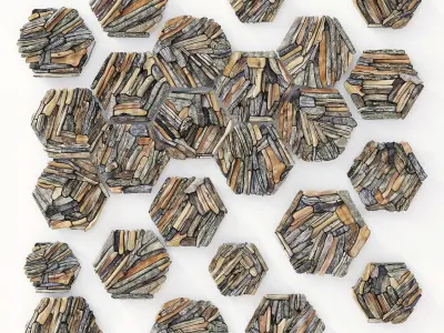 Hexagon panel branch splinter n1 3D model