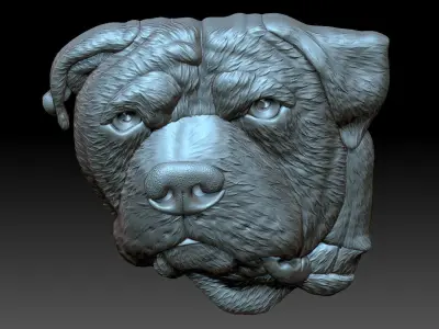 Dog head 3D print model