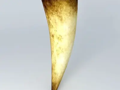 Horn tusk Free 3D model