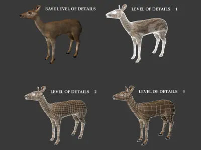Roe Deer Doe - game model Low-poly 3D model