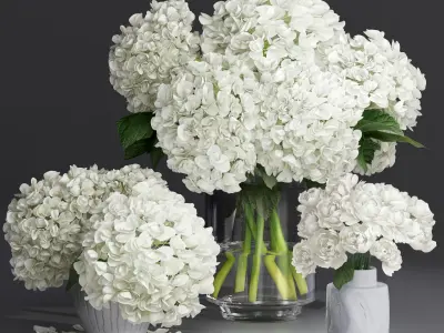 Hydrangea and peony Bouquet Flower plant Vase decorative set 3D model