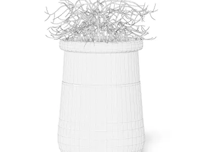 Plant 3D Model in Large Modern Pot 3D model