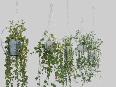 Hanging Pots with Plants Low-poly 3D model