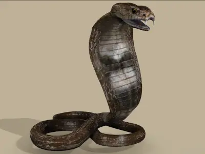 COBRA SNAKE RIGGED ANIMATED 7 Low-poly 3D model