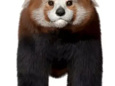 Red panda with realistic fur 3D model