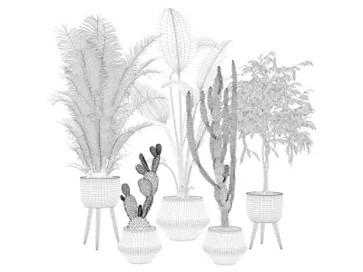 Plants collection 119 3D model