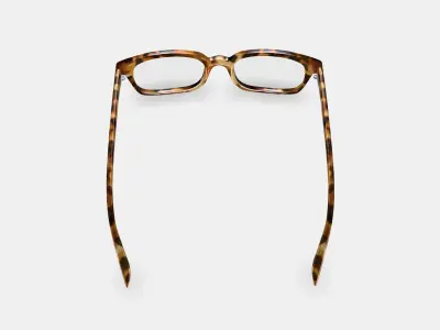 Mullins Eyeglasses in Acorn Tortoise 3D model