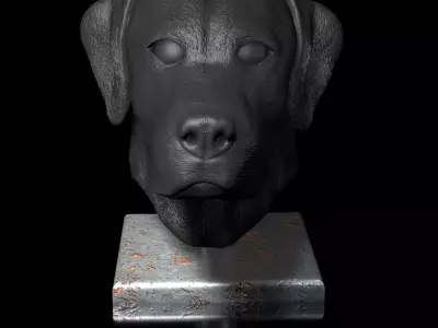 Labrador Male Head Portrait  STL-3D Printing Model High Polygon 3D print model