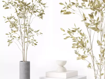 Decorative set 08 3D model order