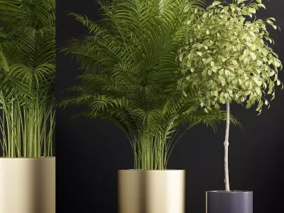 plants set 152 3D model