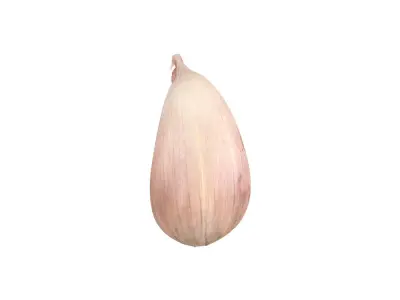 Photorealistic Garlic Clove 3D Scan 3D model