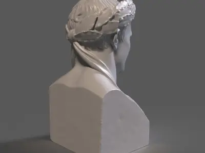 Napoleon Bust 3D print model