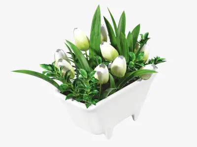 Tulips in bathtub composition 3D model