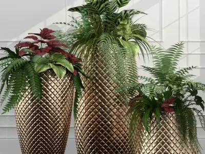 Room plants 3D model