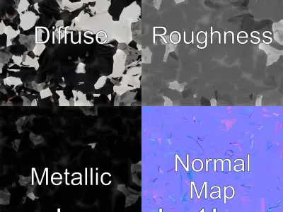 Rook Bird with Shaggy Throat Feathers 3D Model Low-poly 3D model