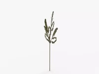 Faux Cedar Branch 3D model