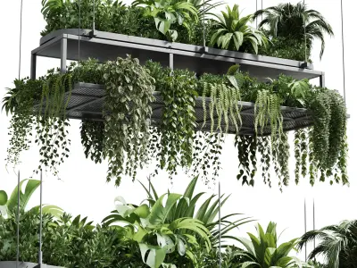 Hanging plants - indoor plant 420 Low-poly 3D model
