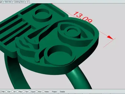 The most special Face Ring 3D print model