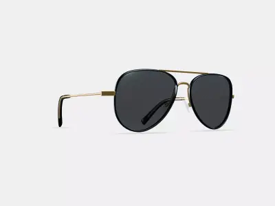 Raider Sunglasses in Brushed Ink with Polished Gold 3D model