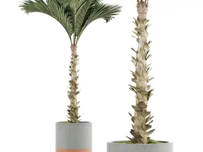 Plants Collection 132 Large Palm 3D model