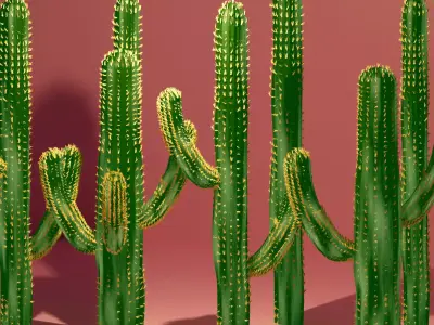 CACTUS MODELING IN BLENDER 3D model