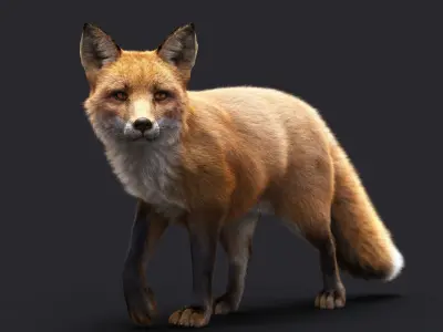 FOX RIG XGEN CORE 3D model