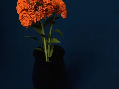 XfrogPlants Coxcomb 3D model