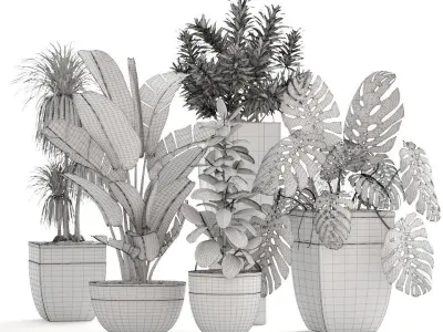 Collection plants different in pots 3D model