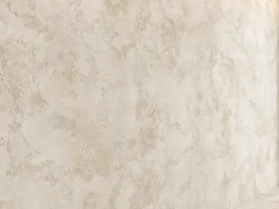 Decorative plaster 21 Texture