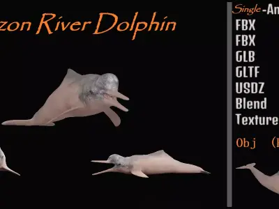 Amazon River Dolphin Low-poly 3D model