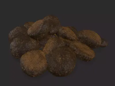 Horse Poop Low-poly 3D model