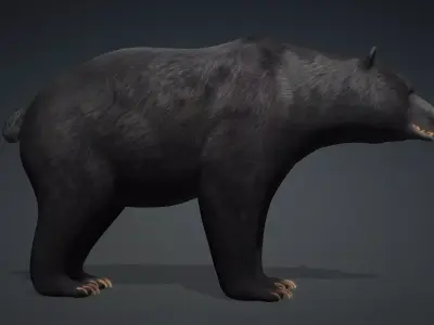 Black Bear 3D model