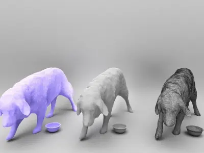 Golden retriever dog 33 Low-poly 3D model