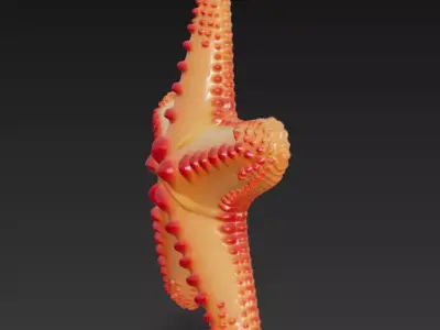 Starfish Realistic 3D Model Basic - Low Poly Realistic Low-poly 3D model