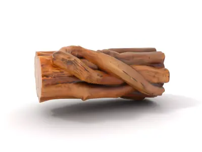 Twisted Timber model pack Low-poly 3D model