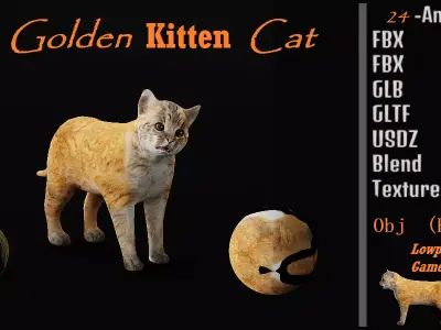 Asian Golden Kitten Cat Low-poly 3D model