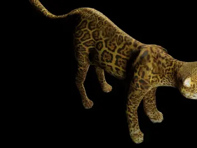 leopard Low-poly 3D model
