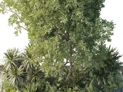 Garden of Plants Tree shrubs and palms - outdoor garden set 174 Low-poly 3D model