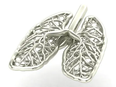 lungs pendant 3D print model