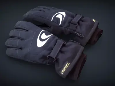 Ski gloves 2 Low-poly 3D model
