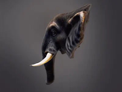 Elephant head wall decor 3D print model