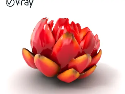 Purple Cornflower Flower Model Pack Low-poly 3D model