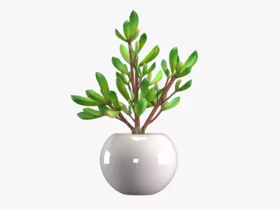 Pot Plant 14 3D model