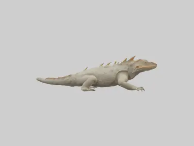 Horned Lizard resting model Low-poly 3D model