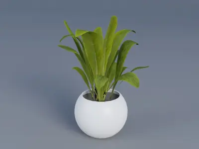 interior plant Low-poly 3D model purchase