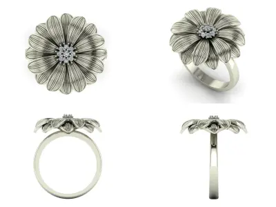 Ring  pl38 3D print model