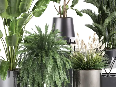 Houseplants in a rust flowerpot for the interior 996 3D model